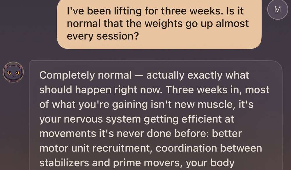 A beginner asking whether it is normal that the weights go up almost every session, and Yami answering that it is